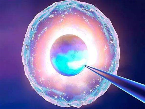 多囊治不好可以做试管婴儿吗